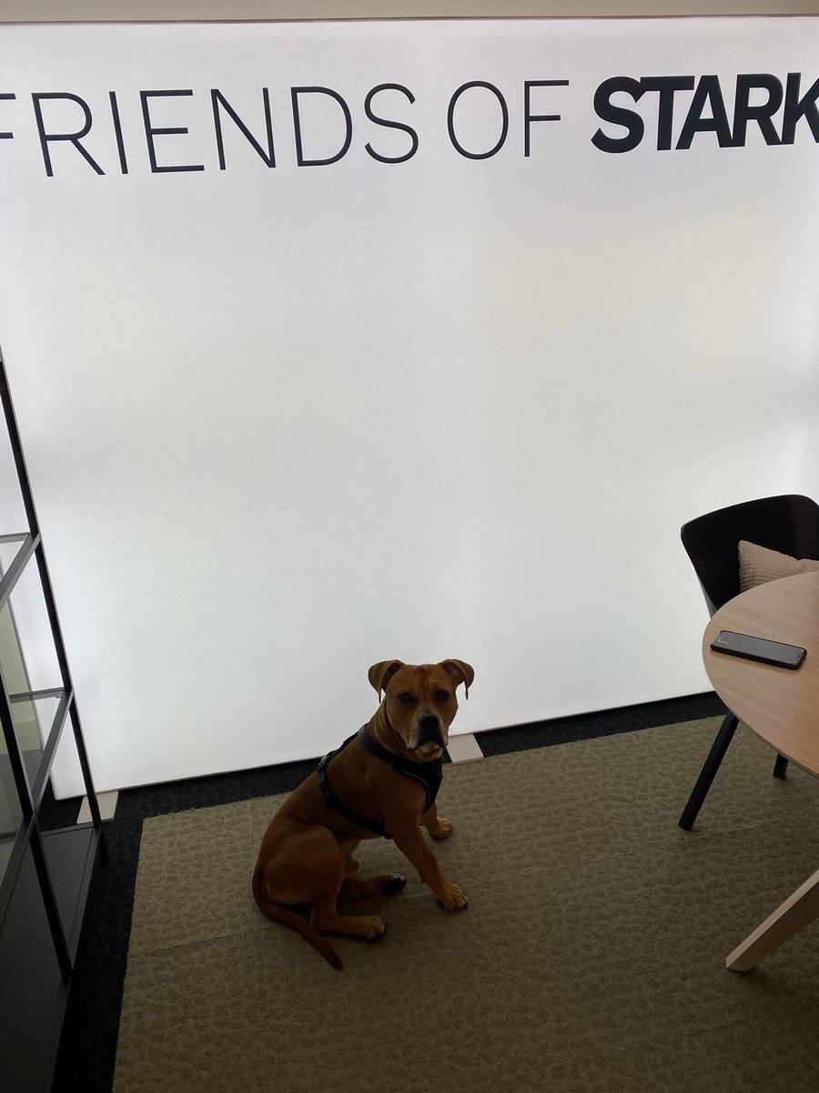 We 🖤 u <a href="/sud0dog/">@sudo ッ</a>!
#PuppySTARK