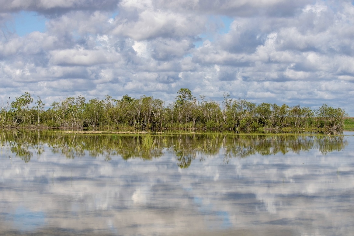 EvergladesNPS's tweet photo. This month marks the 58th anniversary of the Wilderness Act, so take a deep breath and reflect on what Wilderness means to you.
NPS photo by Federico Acevedo
#NationalWildernessMonth #FallInToAdventure #Everglades75th #Everglades #EvergladesNationalPark #FindYourPark https://t.co/AX0BxX52Dp