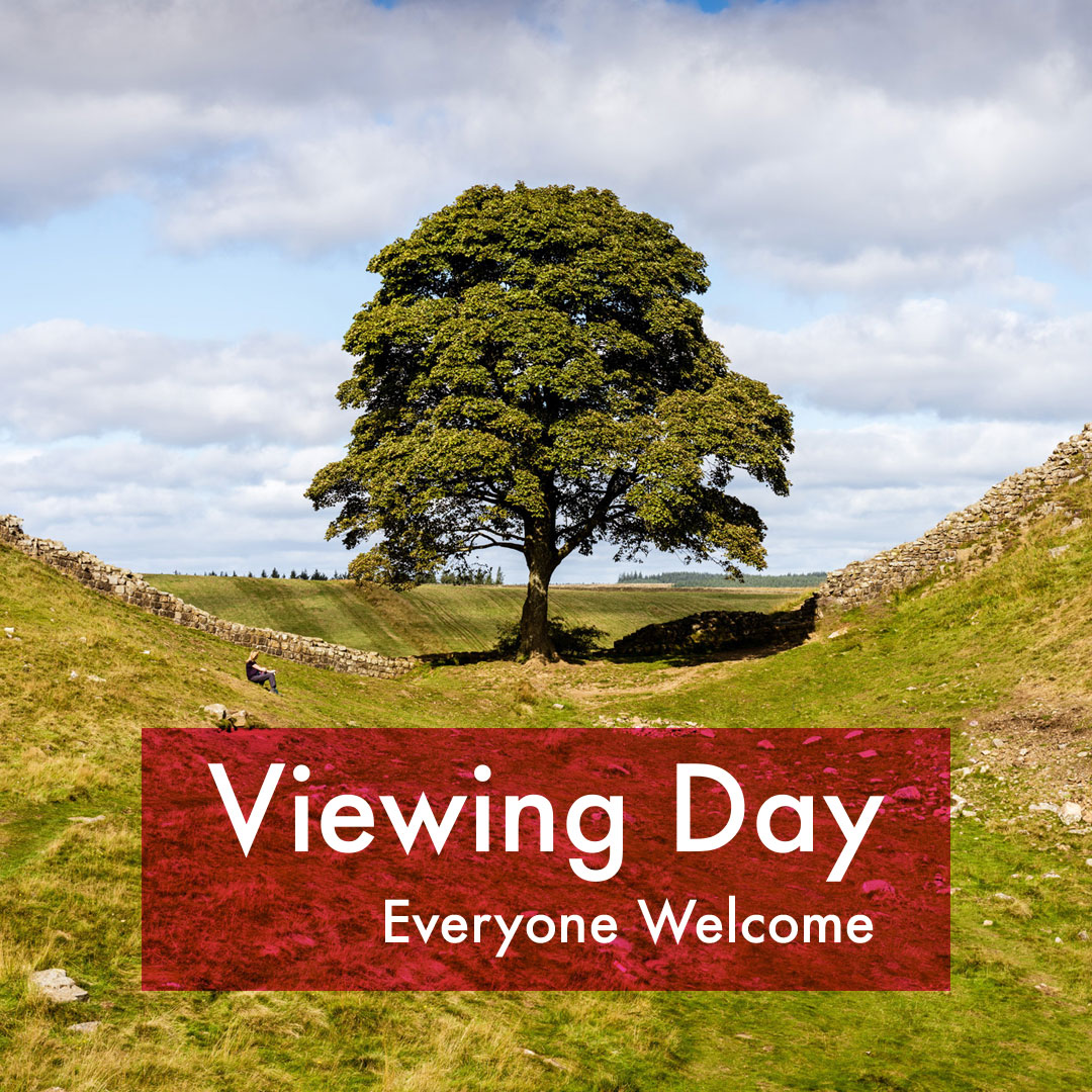 Viewing Day - Everyone Welcome
Tomorrow 2pm - 7pm

Come and take a look at our current exhibition 'Hadrian's Wall 1900', we're having a special viewing day on Thursday 08 September from 2-7pm and welcome you to come along and drop in to see the show.