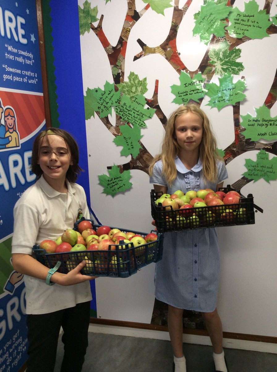 Rufforth School On Twitter Year 6 Have Been Picking Apples Ready To rufforth-school-on-twitter-year-6-have-been-picking-apples-ready-to
