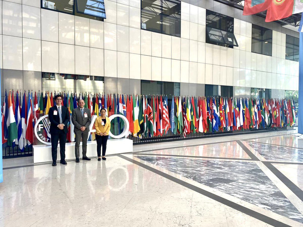 📍𝐑𝐨𝐦𝐚 🎣 El Gobierno ecuatoriano, a través del equipo liderado por el ministro <a href="/pradojj/">Julio José Prado</a> y el viceministro <a href="/andresarens/">andresarens</a>, presentaron a la Dirección General de la Comisión Europea <a href="/EU_MARE/">EU Maritime & Fish</a> 🇪🇺 los avances para superar la tarjeta amarilla impuesta por la Unión Europea en 2019.