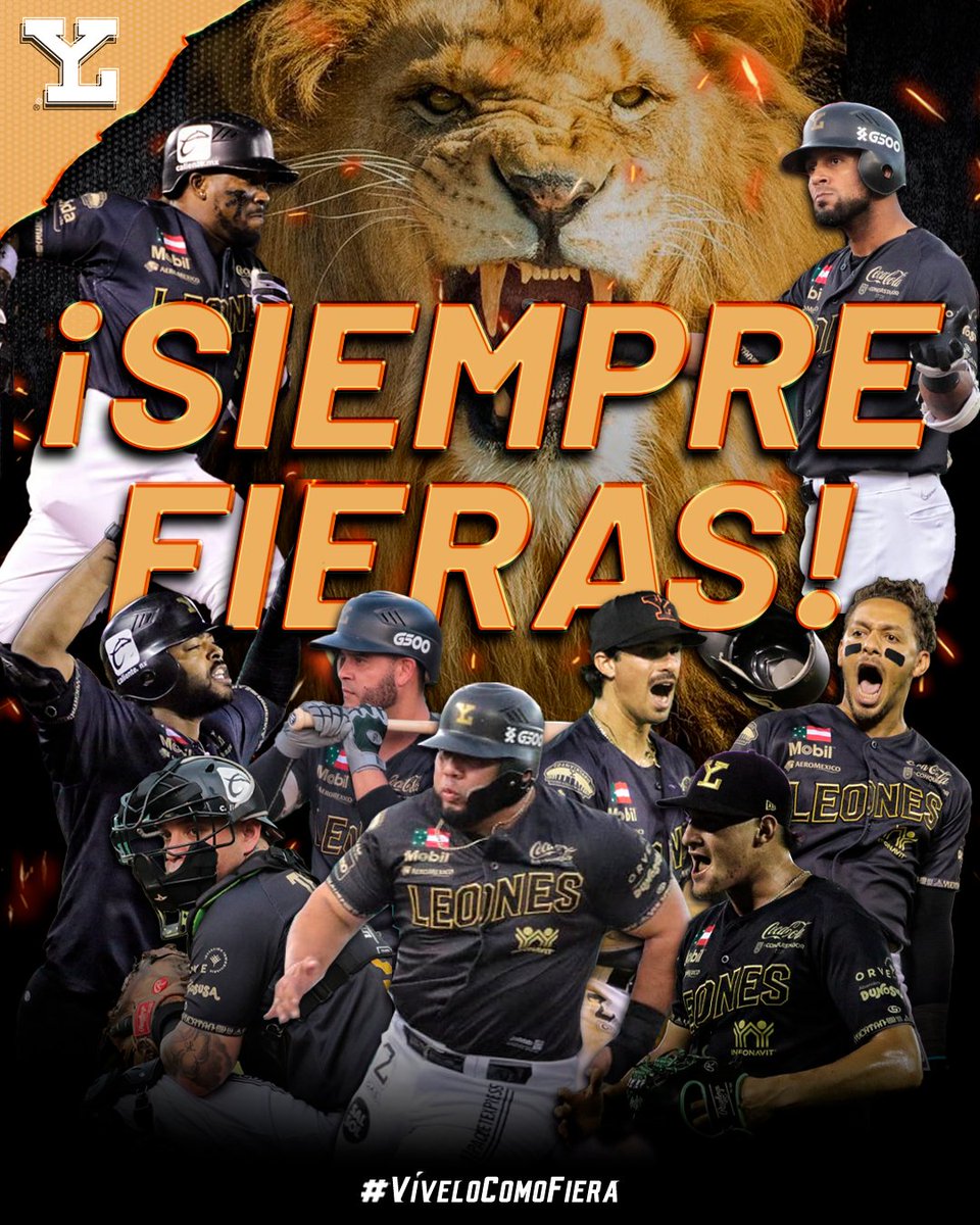 Leones de Yucatán tweet media