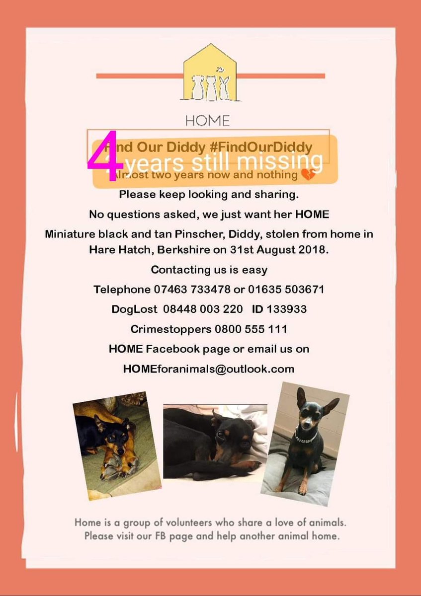 LisaLisaw1's tweet photo. #findourDiddy https://t.co/rTSFgMTa6m