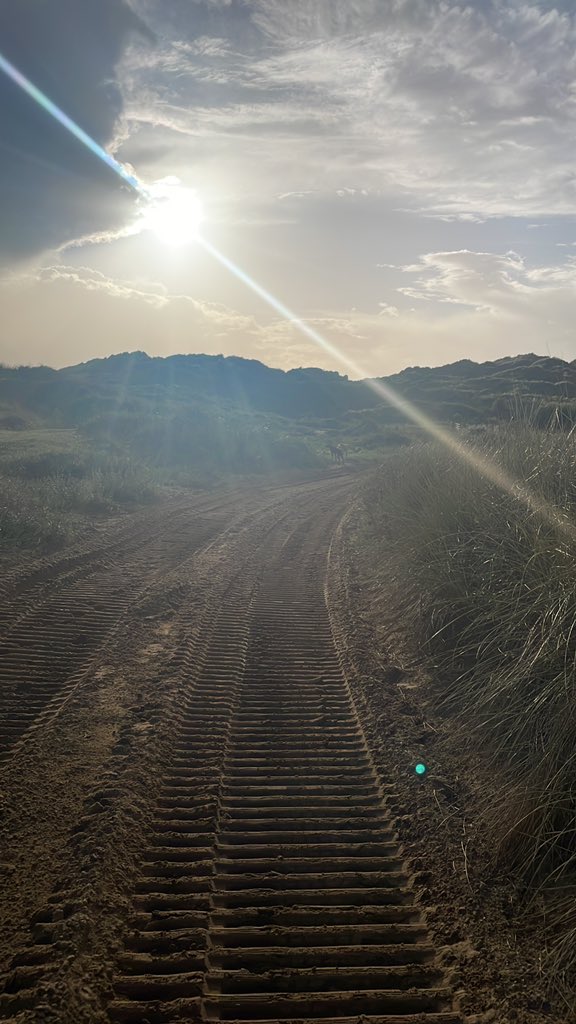 geo_maynard's tweet photo. Dogs and dunes 🥰 https://t.co/fvAGGUjZdM