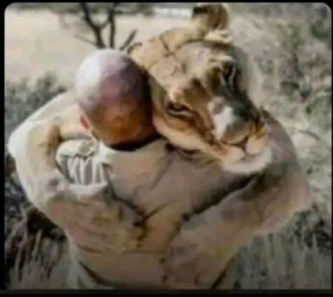 devis_asiimire's tweet photo. Post bae or hug a lion 
Me:
👇👇😹 https://t.co/DVfriog69W