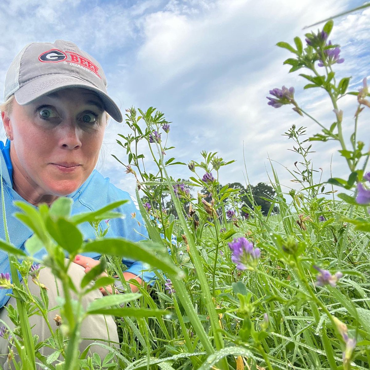 DrJJTuga's tweet photo. Even the Bees are all a buzz today!! Lots of things happening at the #BetterGrazingProgram - Grazing initiation tomorrow!!
#UGABeef #AlfalfaBermudagrass #PollinatorParadise #USDA_NIFA https://t.co/8twfUS0ZUv