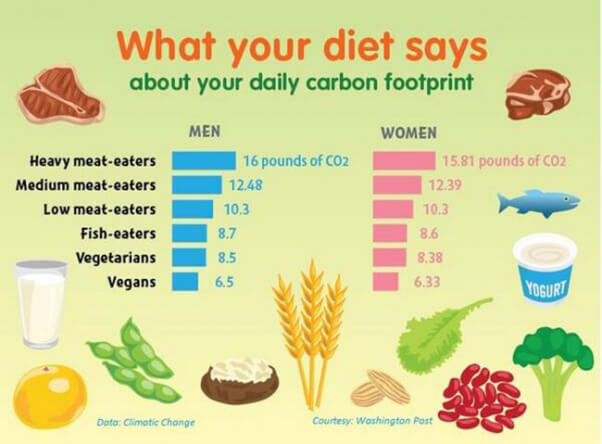 ShalinGala's tweet photo. @washingtonpost UN says mitigating climate change "would only be possible with a substantial worldwide diet change, away from animal products.” 

We don't need more climate treaties or debates. We need radical acceptance &amp; action.

Go #vegan
#FightClimateChangeWithDietChange https://t.co/bwz7P0lj3J