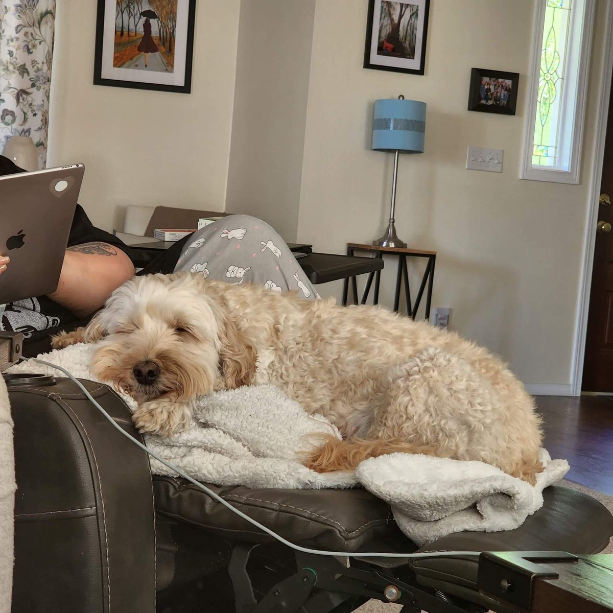 I have been at home with covid for over a week. My two grown kids have it too, and my daughter decided to stay with me so we could be sick together.  This illness sucks, but at least I can hang out with my kid and binge watch campy, fun tv. Here's my dog loving me being home.