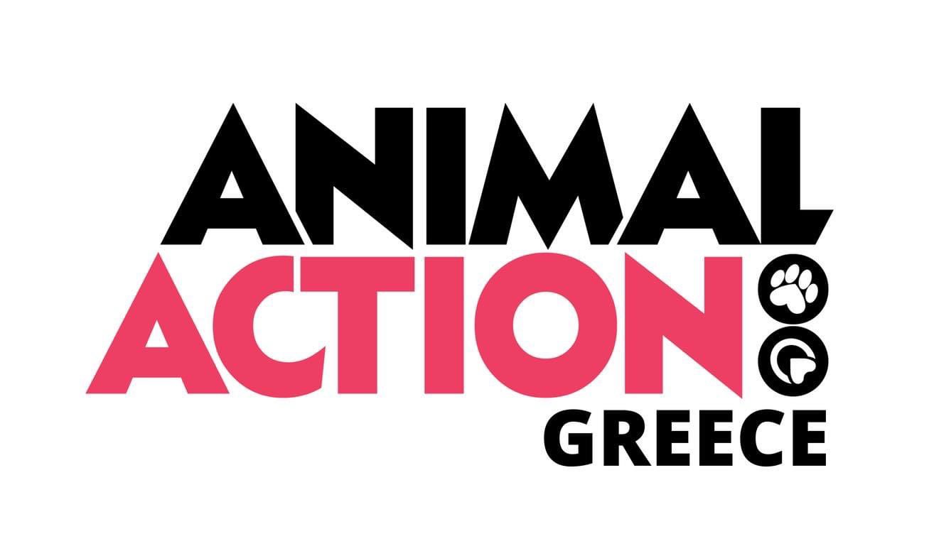 Animal Action Greece (@AnimalActionGr) / Twitter