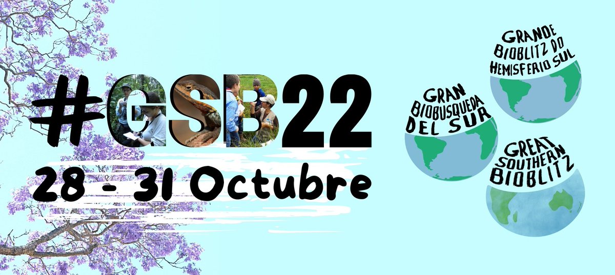 GSB América do Sul tweet media