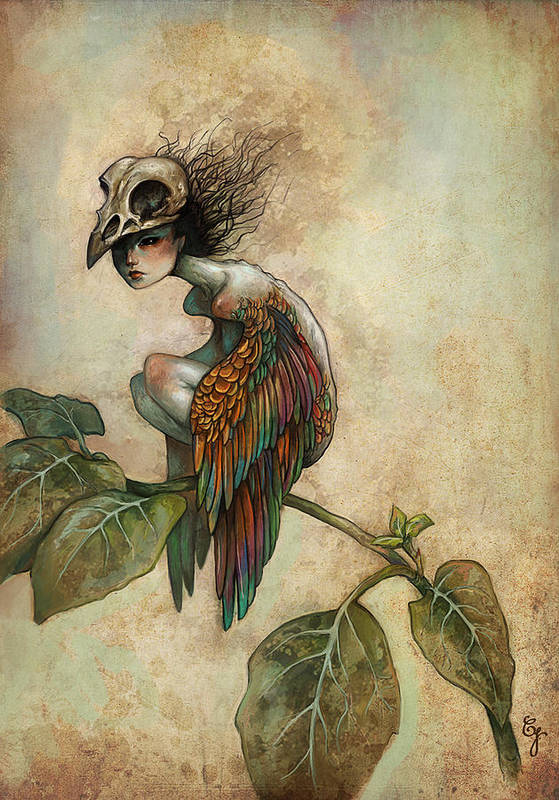 ElliottBlackwe3's tweet photo. Soul of a Bird by Caroline Jamhour https://t.co/Htw2J7ng6r