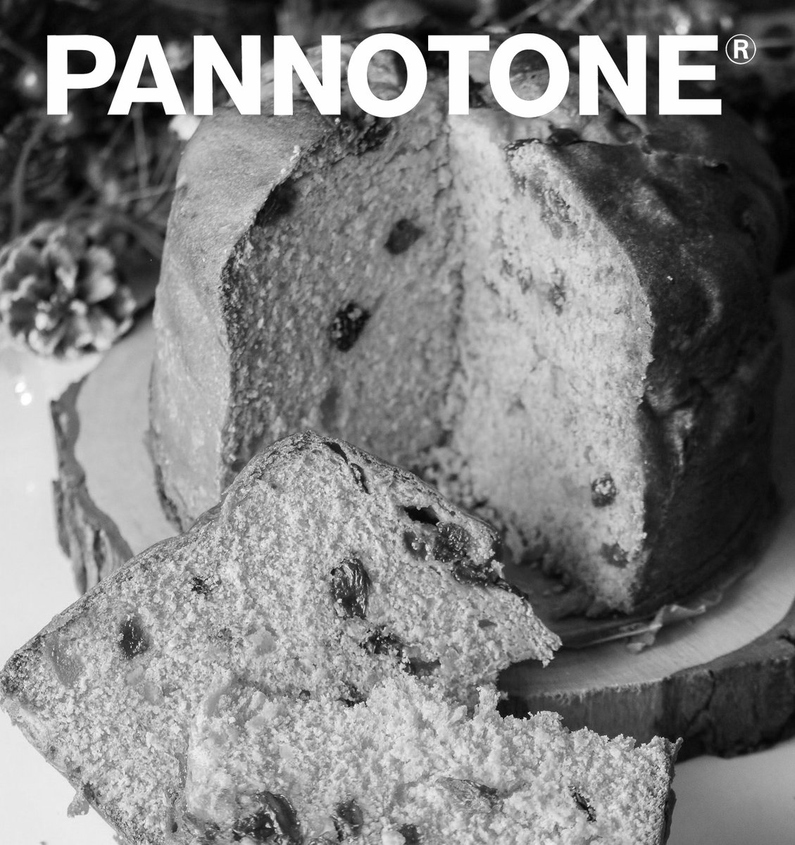 typebynikita's tweet photo. Pantone + Adobe - a pretty stinky move on your part. 🦨

If it's a way to milk more money from designers - objective achieved. 

If this is a way to alienate your audience and make them work harder to find an alternative solution - objective also achieved. @pantone @Adobe https://t.co/qHgIxEs6lz