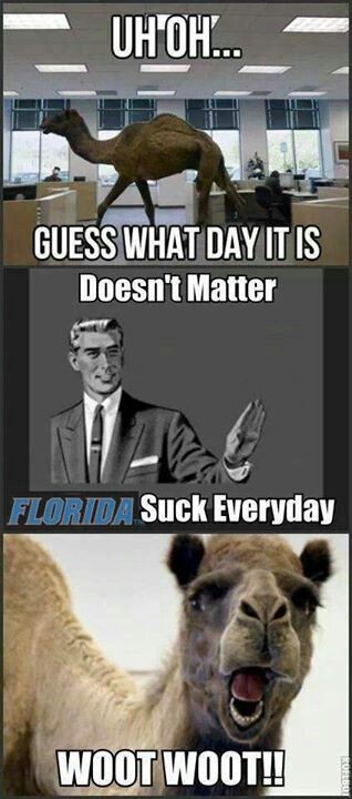 helenisntsaad's tweet photo. Florida is a trash state &amp; Playing Elden Ring! Let's Explore the Southern Map and die a lot! 
https://t.co/CXks6lnl8w https://t.co/m2bNpr2aMO