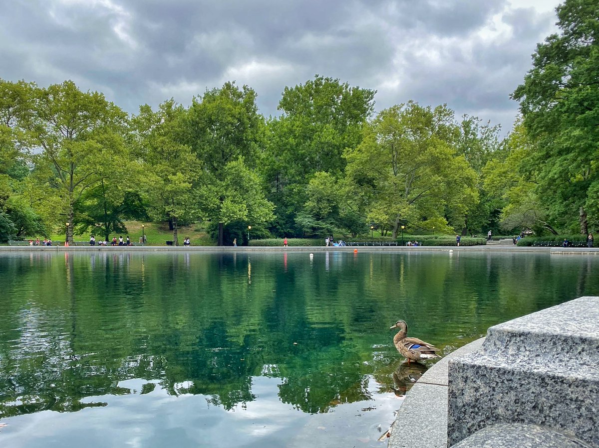 jamesspector's tweet image. Another year in the books. Another moment of quiet reflection at my favorite place. #birthdaytradition