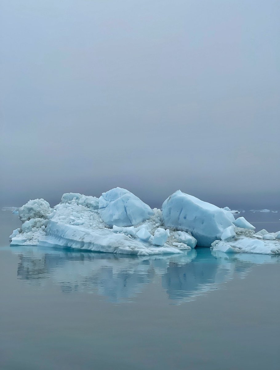 VolkerDiekamp's tweet photo. This morning we entered the foggy narsaq sund (fjord) in #greenland with #rvmerian during #msm111 and were immediately surrounded by #icebergs. @marum_de @IRTG_ArcTrain @UniBremen @meereisportal @Polarforschung https://t.co/lWxTm4VLxF