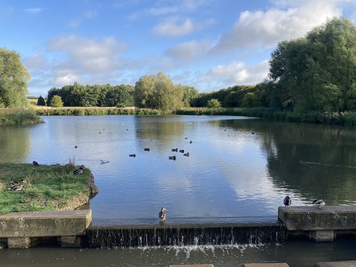 BoundlessLtd's tweet photo. @Baritonedeaf2 @DeputyGrocott A wonderful person rang me and gave me some fabulous feedback @LeadersElements and my had an early morning walk … snuck an extra one in! #1goodthing https://t.co/z8BG0pXL68