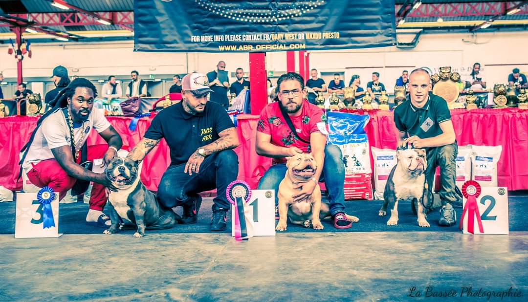 innadyrouge's tweet photo. #bully #abr #show #3rd https://t.co/P5er6ck7eT