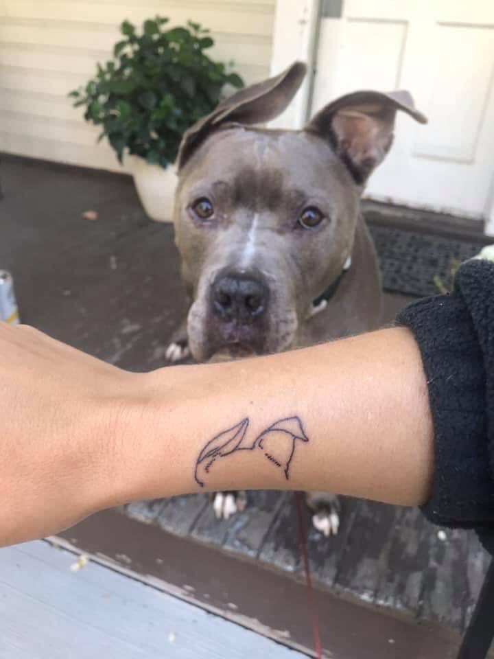 “Tatúate algo que te guste mucho”

Yo: