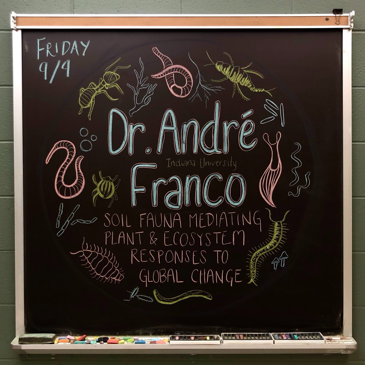KBSchalkboard's tweet image. Join us this Friday 10:45am Eastern for a seminar from Dr. André Franco (@AndreLCFranco) of @IUONeill! André will discuss the role of soil macrofauna in ecosystem functioning under climate change. #SciArt #MSUKBS