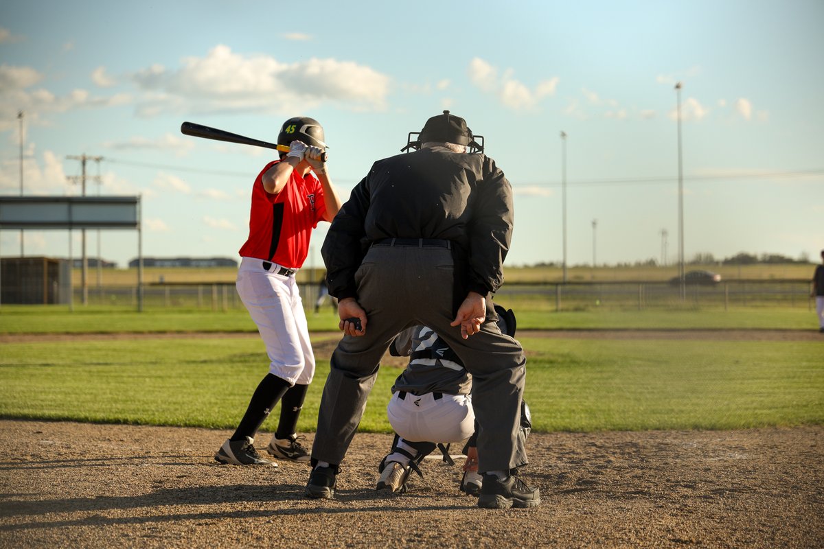 Baseball Regina tweet media