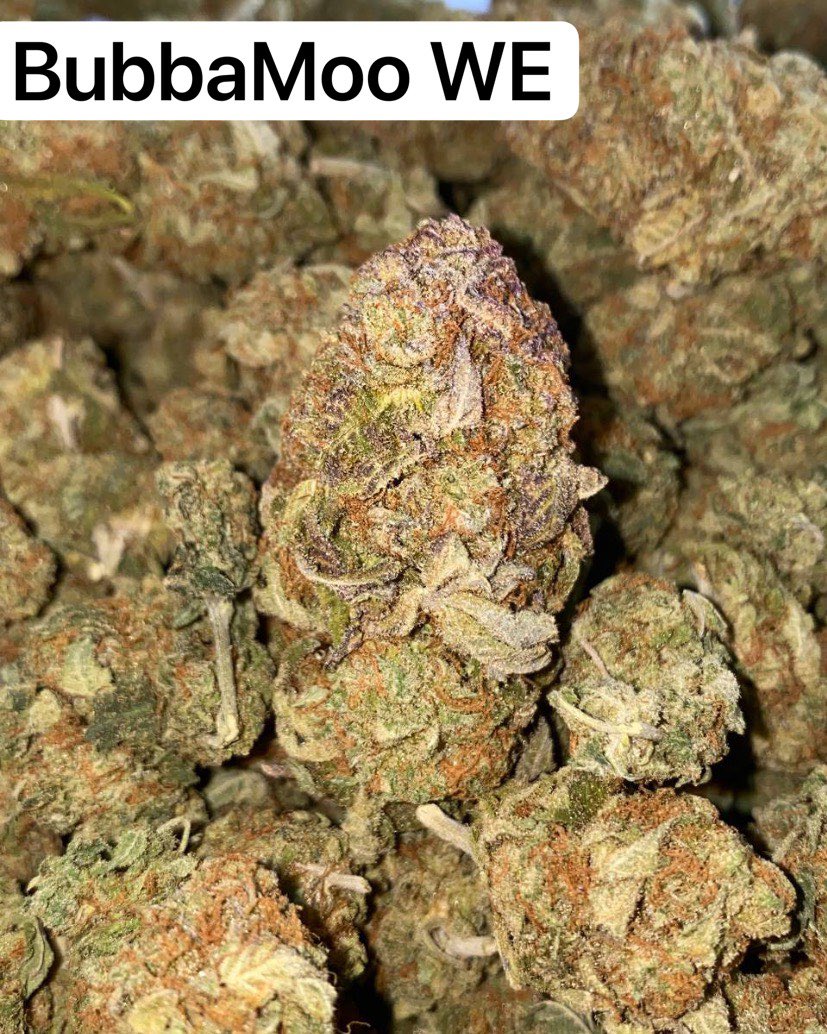 Cannabis Church