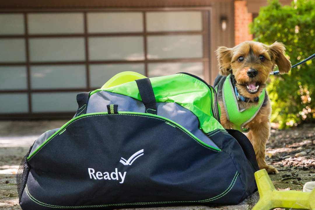 Your pets are also part of your legacy! Add these items in your emergency bag in case you need to evacuate with your four-legged buddies:

🐾 A selfie with them in case you get separated.
🐾 Medicine &amp; grooming items.
🐾 Collar with an ID &amp; a leash.