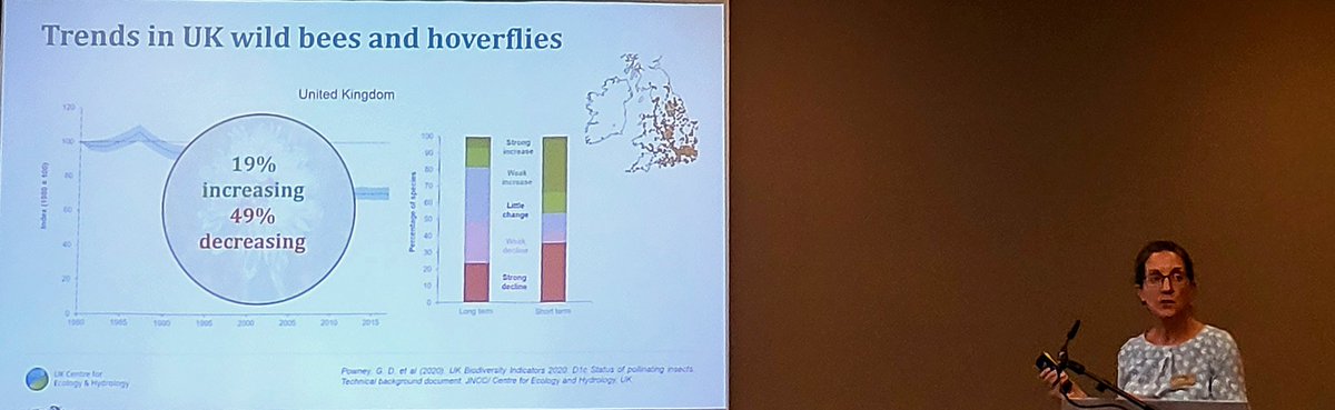deepa_sena's tweet photo. Are #pollinators in decline? @Claire_Carvell stating why spatio-temporal biases & differences in taxa & species need to be carefully considered to get an accurate picture of #trends & why we need a systematic approaches to #monitoring such as @PoMScheme #Pollinators22 meeting https://t.co/Z9AVd5j6SK
