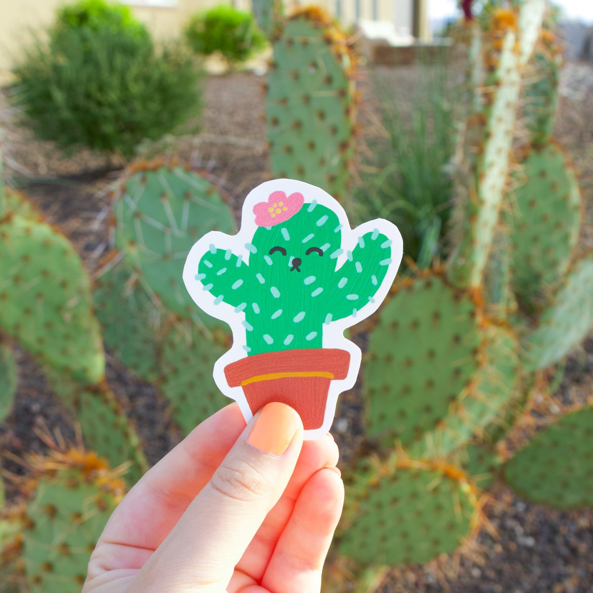 Printed Mint tweet media