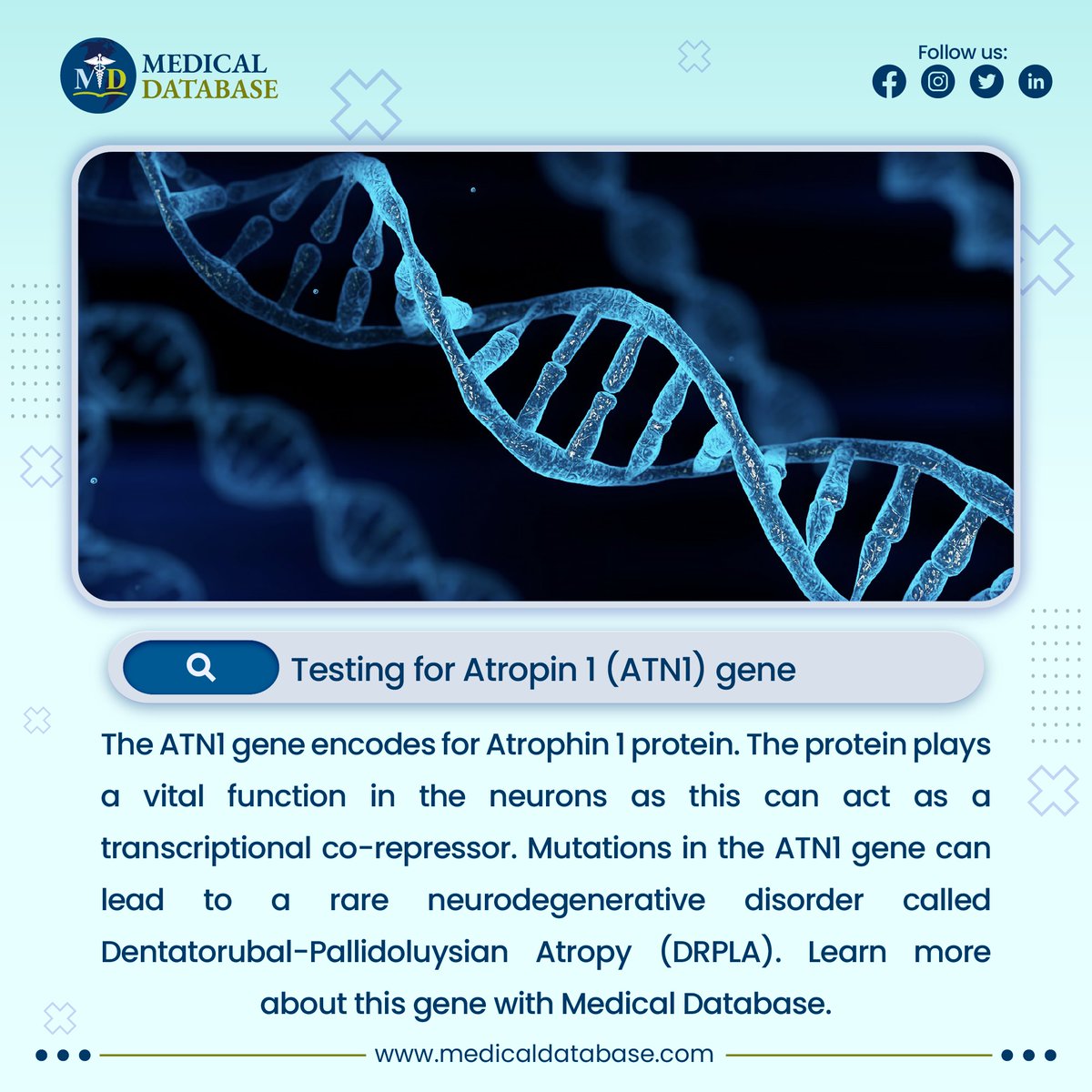 DatabaseMedical's tweet photo. Learn more about this gene with Medical Database.
https://t.co/Yk3w319ISq https://t.co/WmaLFPDUCq
