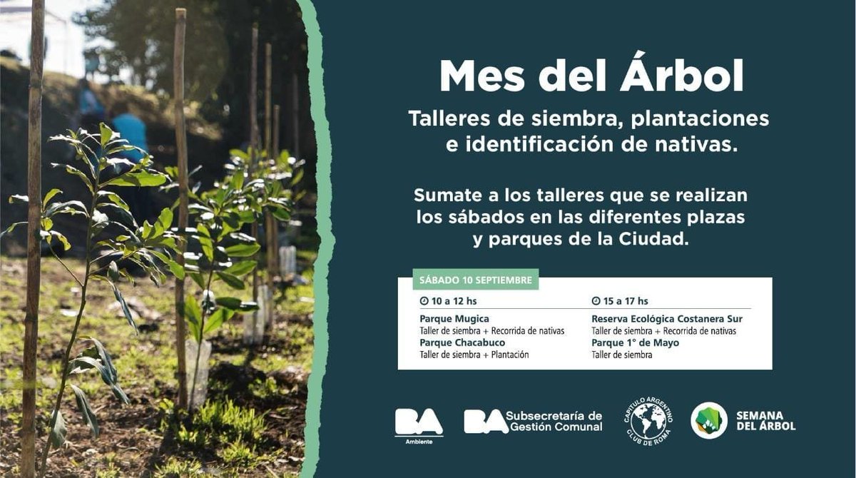 El Sábado 10/09  Talleres de Arbolado Urbano en Comunas de la Ciudad

🌳Identificiación de Nativas en plazas
🌳Germinación de plantines para llevar a casa
🌳Plantaciones y charlas sobre arbolado

<a href="/bacomuna1/">Comuna 1</a> <a href="/bacomuna3/">Comuna 3</a> <a href="/bacomuna7/">Comuna 7</a> <a href="/bacomuna12/">BA Comuna 12</a> 

👉Lo/as esperamos ¡No nos planten! 😉