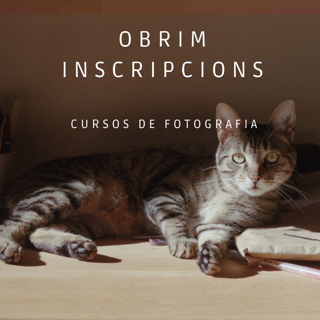 Inscripcions obertes! Ja et pots apuntar als cursos de fotografia del trimestre de tardor. Fes una ullada: ow.ly/MwIc50KCpS9 i escull el que més t'agradi 😉