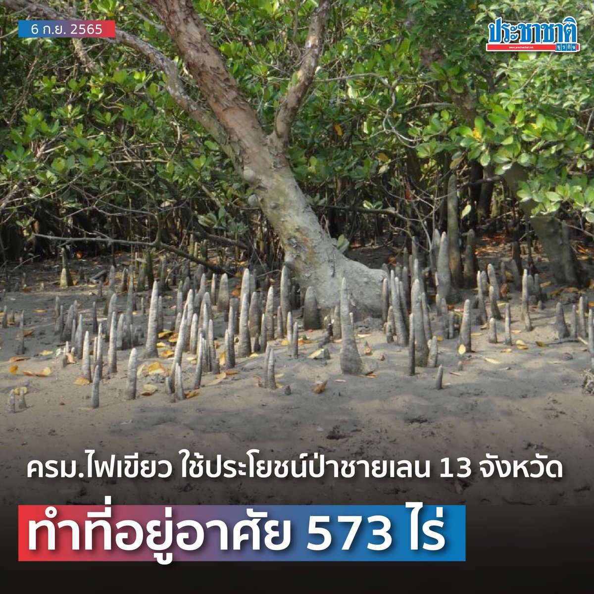 SaiJaii's tweet photo. คะะะะะ ใช้พื้นที่ธรรมชาติ ทำที่อยู่อาศัย???
นักอนุรักษ์ นักวิทยาศาสตร์ นักสิ่งแวดล้อม กุมขมับกันหมดแล้วนะคะ https://t.co/ifDCmSPCqQ