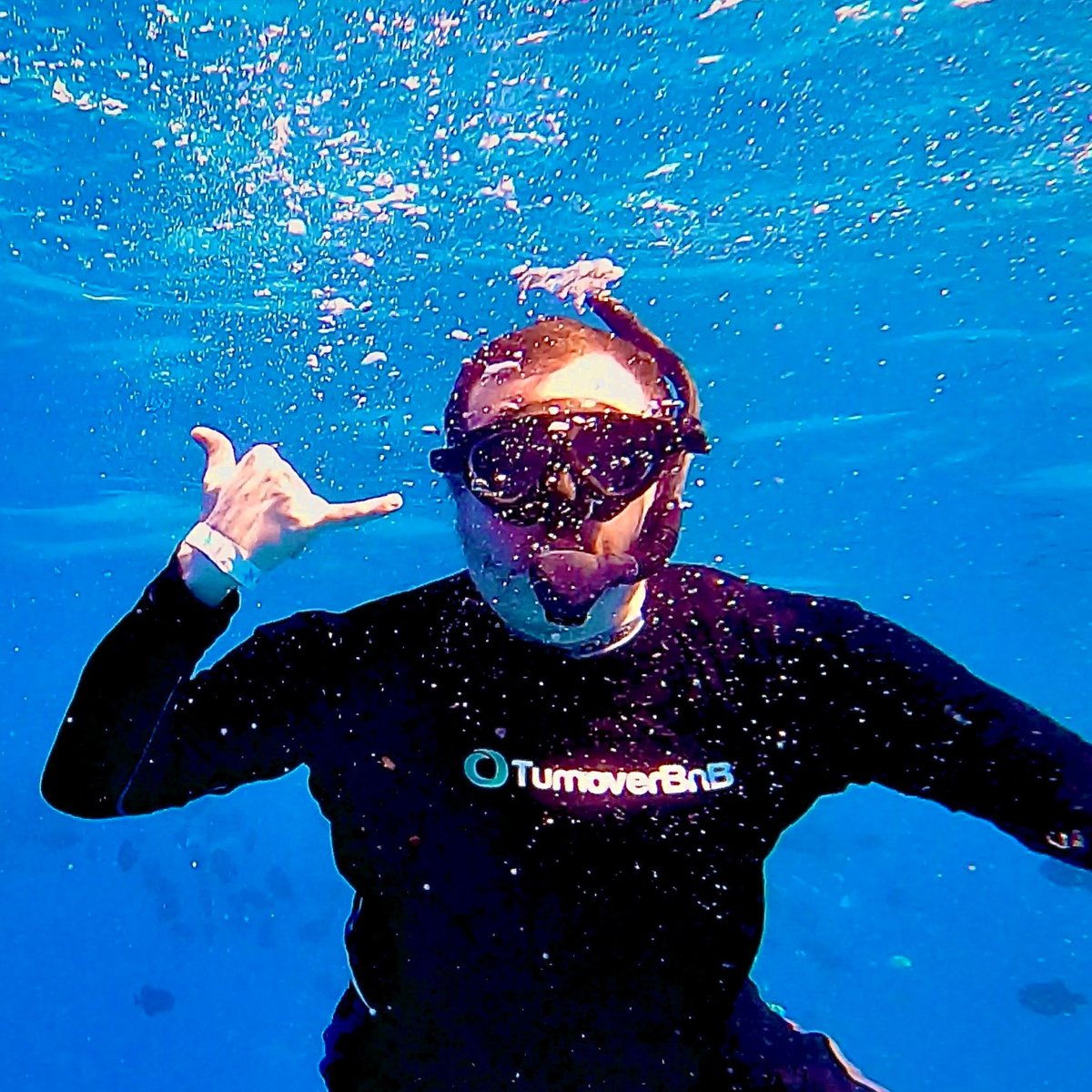 Thrilled to join SaaS provider @TurnoverBnB as Chief Marketing Officer.
Tons to share re this amazing company – life-improving services, business-building solutions, robust marketplaces, and boundaryless opps in the fast-evolving short-term rental industry
turnoverbnb.com/turnoverbnb-we…