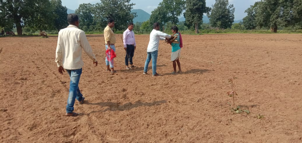 cdaoboudh's tweet photo. PVT Trial in Kantamal Block under OMM @krushibibhag @MilletsOdisha https://t.co/TVw2vsSSbu