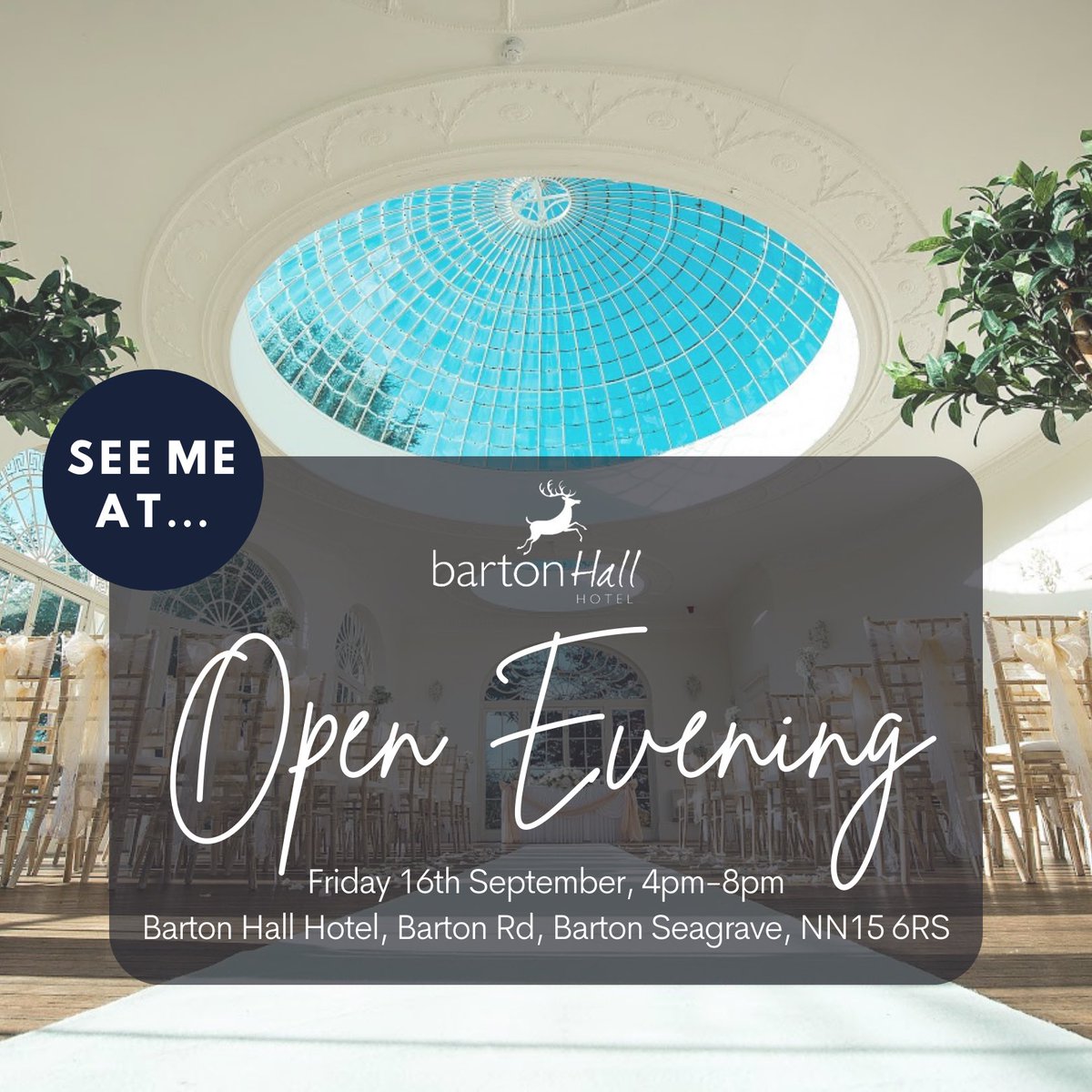 Ariella Strings Live Music tweet media