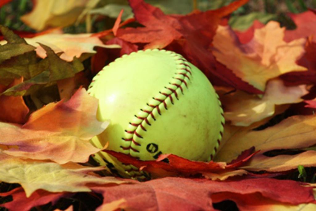 TSC_Softball tweet media