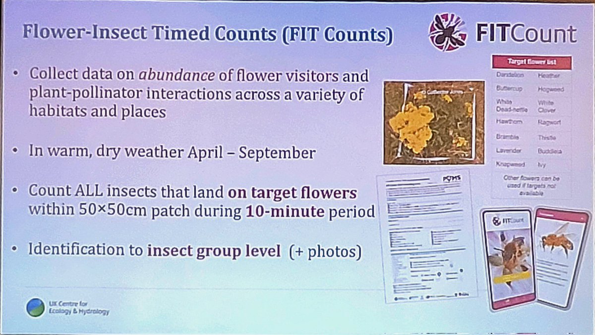 deepa_sena's tweet photo. Quick & simple data visualisations + availability of #FITcount app have enabled #citizenscientists & public to get involved in @PoMScheme #pollinator #monitoring wt >8000 records generated in 5 years - @Claire_Carvell speaking at #Pollinators22 @AABiologists @bes_aeg @RoyEntSoc https://t.co/4Ur6W5yVSh