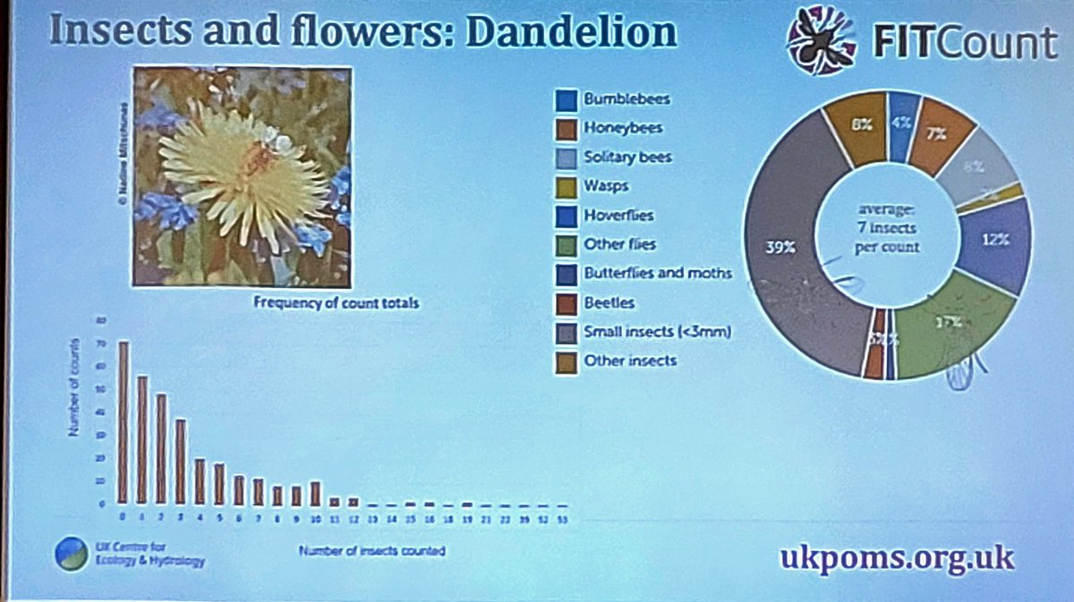 deepa_sena's tweet photo. Quick & simple data visualisations + availability of #FITcount app have enabled #citizenscientists & public to get involved in @PoMScheme #pollinator #monitoring wt >8000 records generated in 5 years - @Claire_Carvell speaking at #Pollinators22 @AABiologists @bes_aeg @RoyEntSoc https://t.co/4Ur6W5yVSh