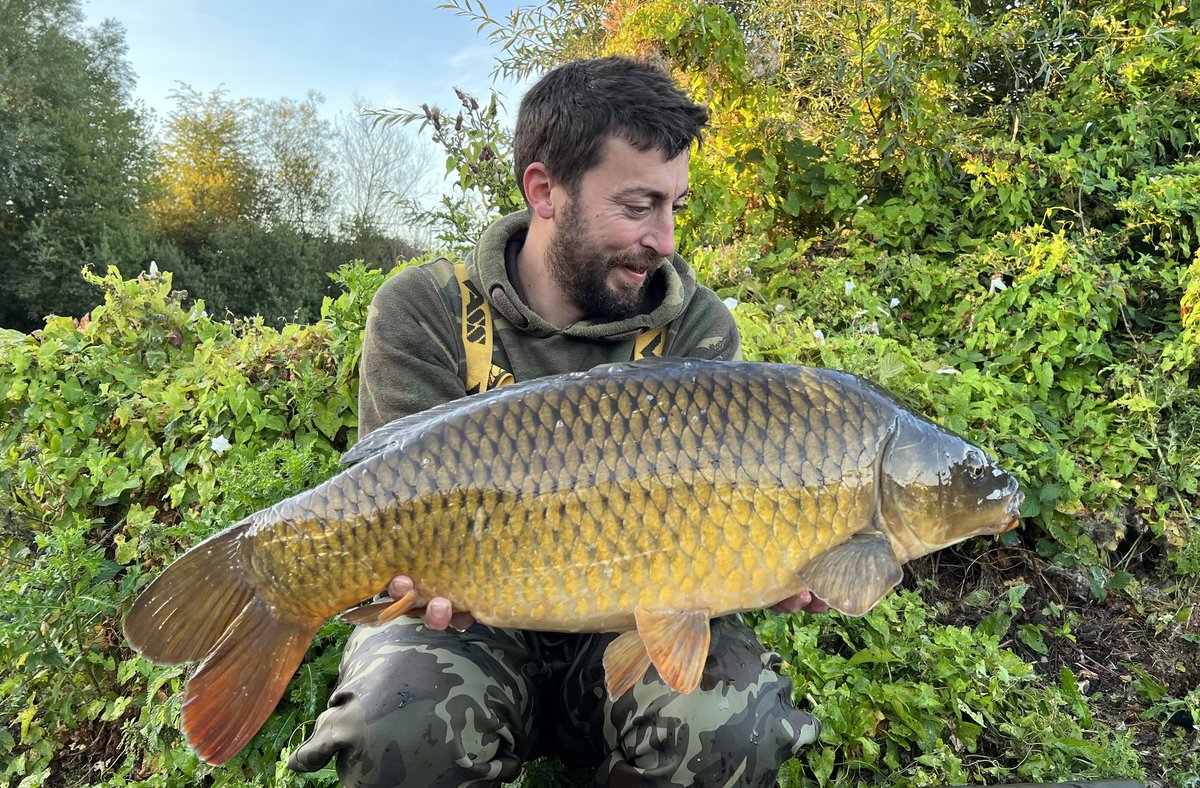 MainlineBaits's tweet photo. Ian Pettitt has just had another busy overnighter down his local pond. 11 carp in the net and aching arms to boot! The Cell fished as free offerings and PVA bags with crumbed up Cell giving him a sleepless night.
#carpfishing #mainlinebaits https://t.co/A5JRJi5J5p