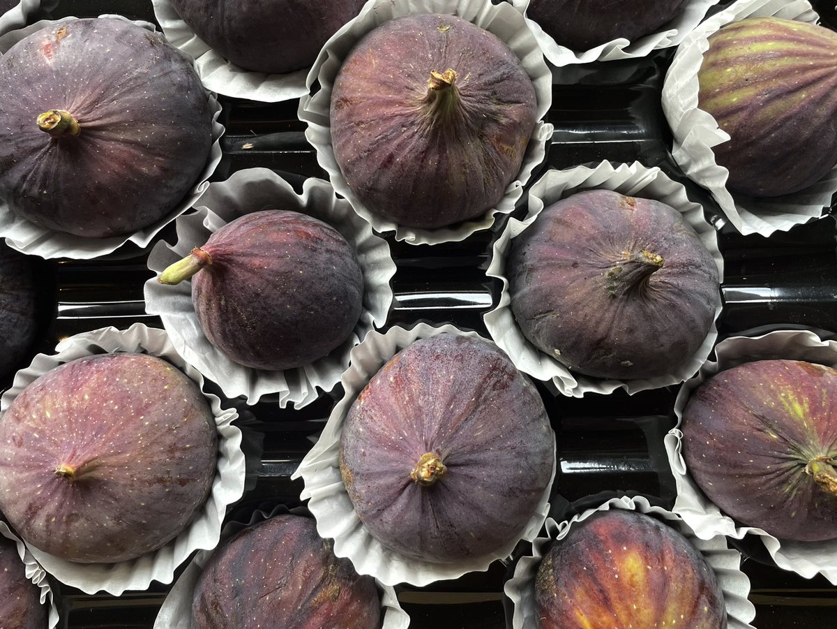 Bar Esteban (@barestebann8) on Twitter photo It’s figs season!!
.
.
.
<a href="/spain/">Spain</a> <a href="/barestebanN8/">Bar Esteban</a> <a href="/harringayonline/">Harringay Online</a> <a href="/crouchendforum/">Crouch End Forum</a> @CrouchEndLive <a href="/FoodPornPhotos/">Skyecrab 2 ❤️🔥✨</a> <a href="/finsbury_pk/">Finsbury Park</a> <a href="/harringayonline/">Harringay Online</a> <a href="/crouchendmum1/">Muswell Hill Mum</a> It’s figs season!!
.
.
.
<a href="/spain/">Spain</a> <a href="/barestebanN8/">Bar Esteban</a> <a href="/harringayonline/">Harringay Online</a> <a href="/crouchendforum/">Crouch End Forum</a> @CrouchEndLive <a href="/FoodPornPhotos/">Skyecrab 2 ❤️🔥✨</a> <a href="/finsbury_pk/">Finsbury Park</a> <a href="/harringayonline/">Harringay Online</a> <a href="/crouchendmum1/">Muswell Hill Mum</a>