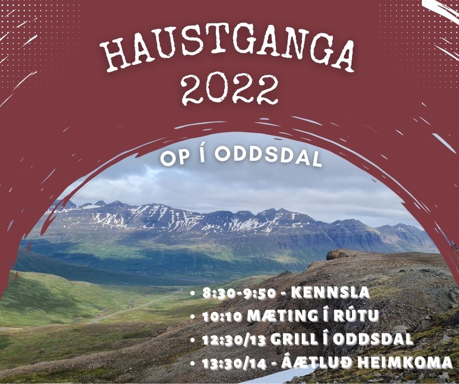 Haustganga 2022 á morgun! Frekari upplýsingar á va.is!

#göngumsaman #vaskólinnokkar