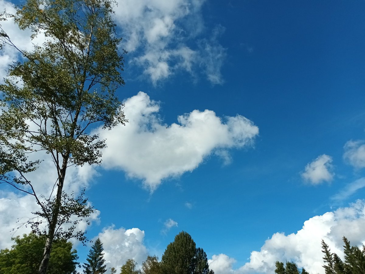 kristallnaach's tweet photo. #Ronjalandsleden #pilgremsleden 
🌞 💦#pilgern 💦 🌞 #Wandertag
#Pilgerweg #Schweden 🇸🇪 #Sverige 

Überall Hinweise..#Schutzhütten.. 
#Windfang oder #Feuerstellen..etc.

#Elchenländle22 😆 #Alleinlage?
#Furesjön 🌊 🇸🇪 #VästraGötaland https://t.co/qLGtBrPvyD