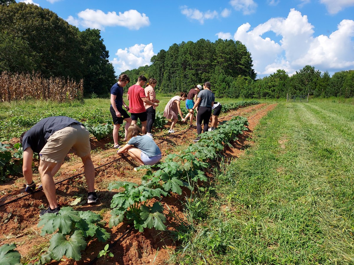 Amanda Meier tweet media