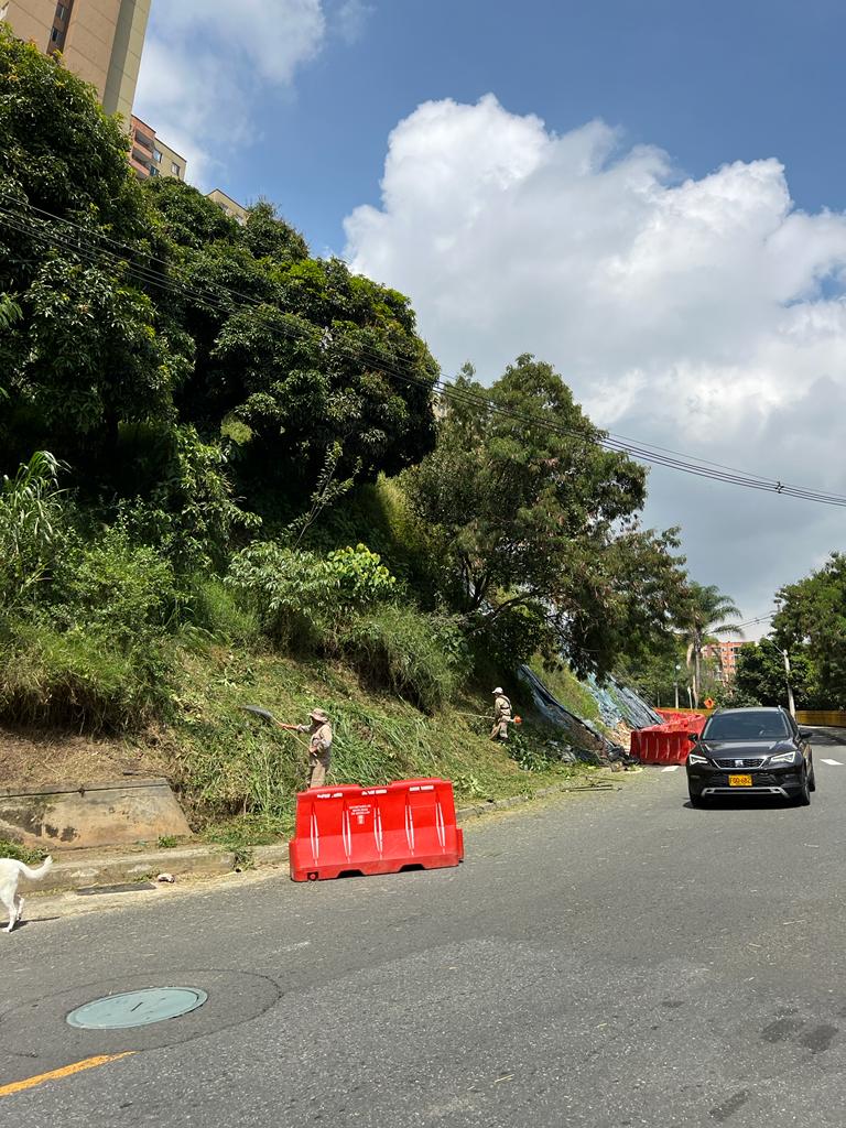 RodeoAlto's tweet photo. Buenas noticias Rodeo Alto

Otro resultado de la tutela: @AlcaldiadeMed se había comprometido a intervenir la parte del talud que le pertenece, y ha iniciado el proceso de rocería de esta zona que estaba tan descuidada.
Muchas gracias @NataliaUrregoA secretaria de infraestructura https://t.co/8VT93COmxT
