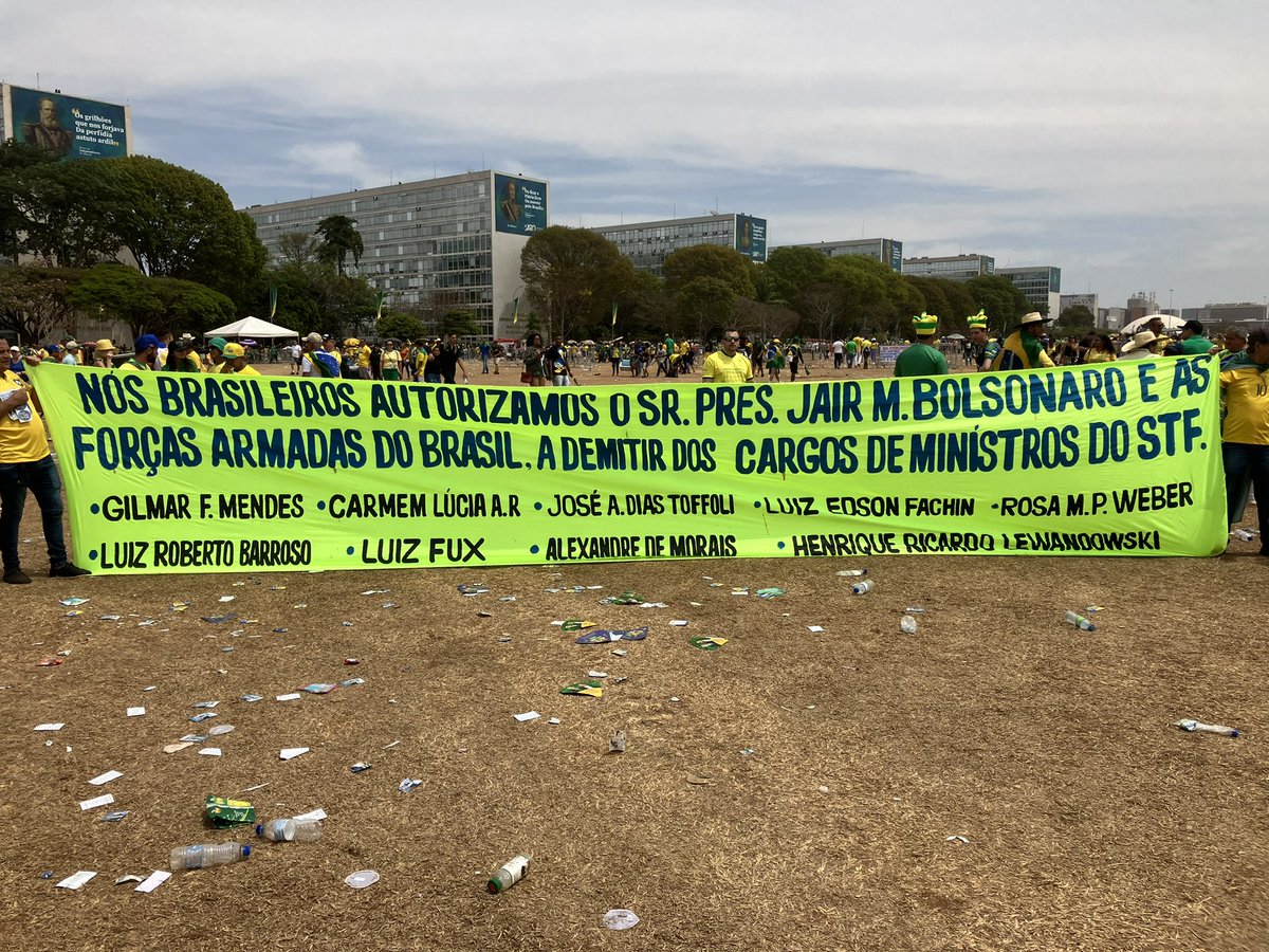 julia affonso 🔎🖊️ tweet media
