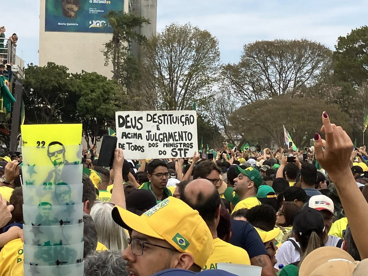 julia affonso 🔎🖊️ tweet media