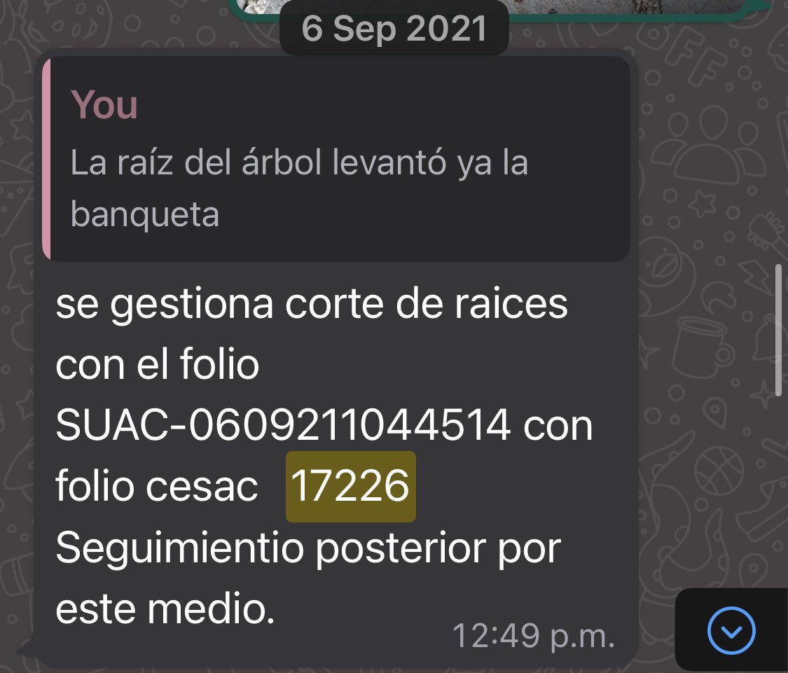 Valverde_Fede's tweet photo. @MHcesac ayer cumplió un año el reporte con folio 17226, se solicitó un corte de raíces para evitar fuga de agua. Hoy ya tenemos esa fuga. https://t.co/f53wZ9kccN