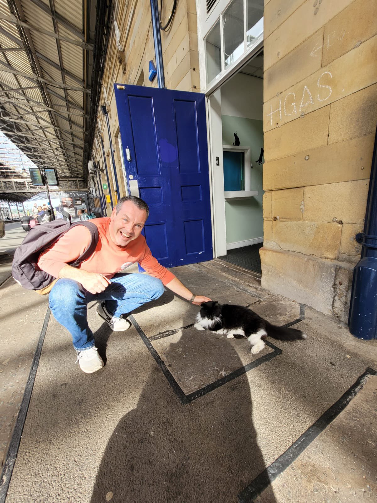 playtime-by-felix-and-bolt-the-huddersfield-station-cats