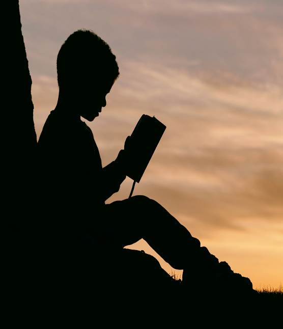 MaryMyatt's tweet photo. The impact of 'just reading'

With @gayle_fletcher5 and @MrsHgrps 

93% of pupils in Year 2 made +6 months progress in reading

83% of pupils in Year 4 made +6 months progress in reading

/1 https://t.co/ElbWbjBkHg