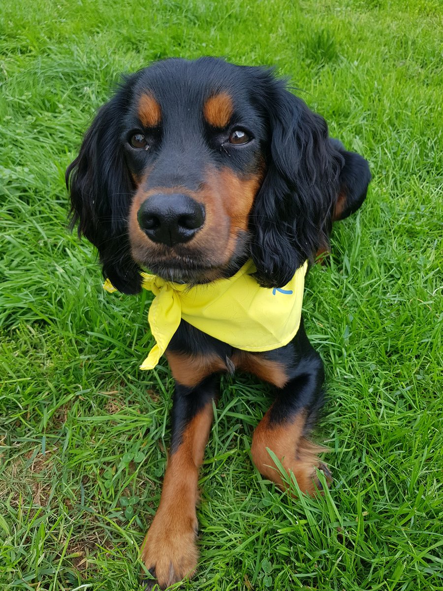 I visited some of the lovely staff at Wigton hospital this afternoon.....lots of sniffs and attentions 🐾🐾
<a href="/NCICNHS/">North Cumbria Integrated Care NHS Foundation Trust</a>